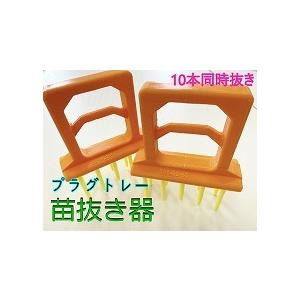 専用ページです。　 20苗抜き苗 専用ページです。 20苗抜き苗