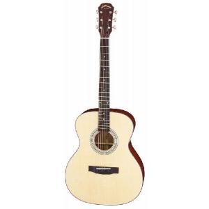LAG Guitars T70D-B＆B ドレッドノートタイプ アコースティックギター