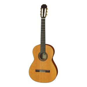 Epiphone アコースティックギター用 ハードケース ブラック ギター