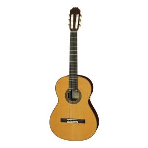 ARIA A-50F(ハードケース付) フラメンコ クラシックギター : さくら山