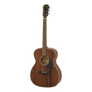 ARIA Aria-101CE/MTBK (Black) マット塗装 エレアコ / ソフトケース付