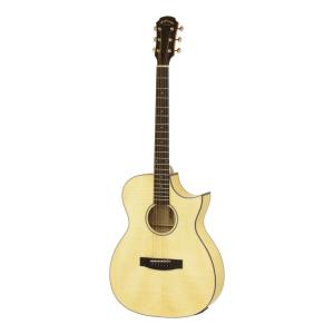 調整済 アリア Aria-101CE エレクトリック アコースティックギター