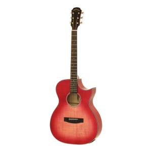 ARIA FET-F2 STBR(Stained Brown) エレクトリック・アコースティック