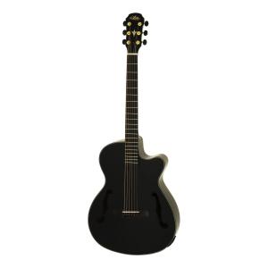 ARIA FET-F2/BnG BK(Black) エレクトリック・アコースティック ギター エレアコ/ケース付｜さくら山楽器