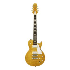 [キャンペーン]AriaProII PE-AE200 YG (Yellow Gold) エレキギター...