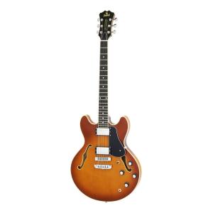 Aria Proll ProII TA-200 BK(Black) セミアコースティックギター