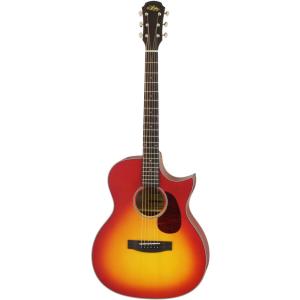 ARIA Aria-101CE/MTBK (Black) マット塗装 エレアコ / ソフトケース付