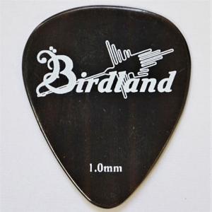 Birdland Buffalo Horn Flat Pick 1.0mm ギター ピック 133-06-004 天然素材ピック/メール便発送・代金引換不可｜aion