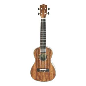 DCT DUS-150K ソプラノウクレレの買取情報