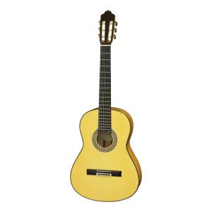 Pearl Pearl PF-250 Acoustic Guitar アコースティックギター ハミング