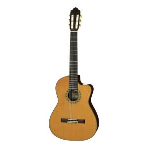 ARIA FET-F2 STBR(Stained Brown) エレクトリック・アコースティック