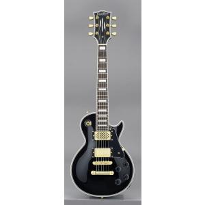 GrassRoots G-LPS-MINI VHB スピーカー内蔵 エレキギター : さくら山