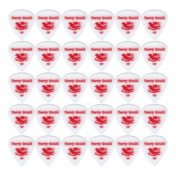 [ピック×30枚]PICKBOY Terry Gould GP-TG-TS/06×30枚セット 0....