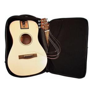Journey Instruments PJ410N トラベルミニアコギ シトカスプルース