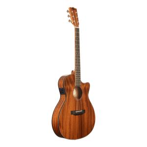 FERNANDES（フェルナンデス） Gotoh Fernandes エレキギター用