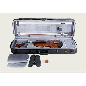 SUZUKI VIOLIN Outfit Violin No.500 4/4 スズキ鈴木バイオリン/アウトフィットバイオリン｜aion
