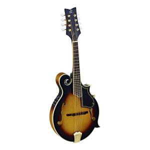 調整済みで弾きやすい ARIA AM-20 マンドリン初心者セット