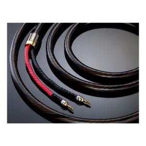 Real Cable HD-TDC600 2M / スピーカーケーブル ペア/代金引換不可