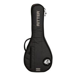 【極美品】フラットマンドリン ARIAアリアAM-20E 初心者 ハードケース マンドリン ARIA アリア AM-20E 初心者 11点セット ピックアップ