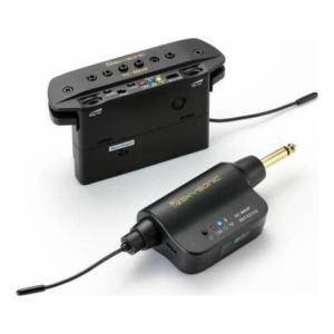 ギター SKYSONIC WL-800JP ギター SKYSONIC WL-800JP SKYSONIC / WL-800JP Wireless Soundhole