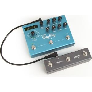 strymon BIGSKY リバーブ ストライモン エフェクター : THEONE