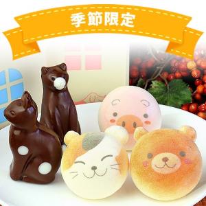 お絵かき マカロン & ねこ チョコレート 5個 家箱入り