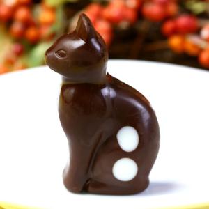 お菓子 ギフト ねこ チョコレート 3個 お家の箱 引出物 詰め合わせ チョコ 誕生日 動物 猫 スイーツ プレゼント かわいい