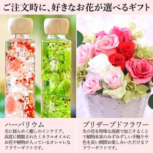 母の日 ギフト 花 お菓子 ハーバリウム ねこ どら焼き どらネコ 5個 どらやき 手数料無料 猫 和菓子 限定 セット 感謝 プレゼント 送料無料 スイーツ