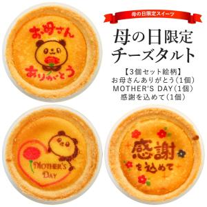 母の日 ギフト チーズ タルト 3個 化粧箱入り お菓子 メッセージ 母の日限定 パンダ 絶品 イラスト入り