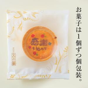 母の日 ギフト チーズ タルト 3個 化粧箱入り お菓子 メッセージ 母の日限定 パンダ 絶品 イラスト入り