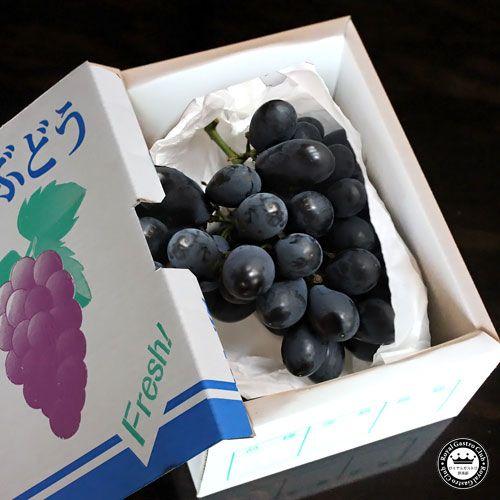 フルーツ ギフト 高尾ぶどう 山形県産 葡萄 約700g 1〜2房入り 生産者限定 大野農園 9月 ...