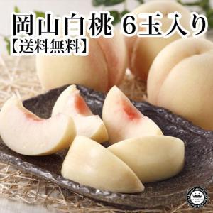 フルーツ お中元 岡山白桃 はくとう モモ 岡山県産 約240g 6玉