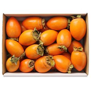 筆柿 ふで柿 無料サンプルok 甘柿 愛知県産 箱入り L 2lサイズ 詰め合わせ 約2 5kg