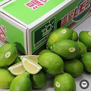 国産レモン 約5kg 高知県産 温室ハウス栽培 送料無料 Mak 40 日本ロイヤルガストロ倶楽部 通販 Yahoo ショッピング