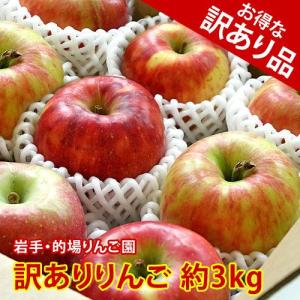 訳あり品 的場りんご園のりんご 林檎 岩手県産 アウトレット おまかせ 約3kg 送料無料 8 9個入り 生産者限定
