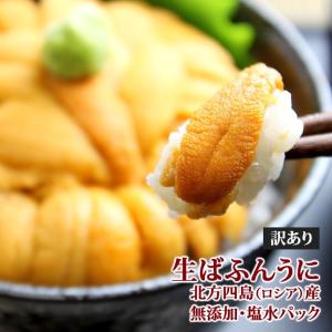 ブランド品 訳あり品 無添加 生ばふんうに 馬糞海胆 塩水パック入り 北海道北方四島産 約90g