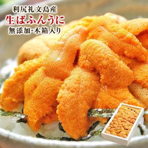 無添加 生 秋冬新作 ばふん うに 馬糞 海胆 北海道 利尻 木箱入り 約80g 礼文島産