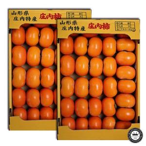 庄内柿 しょうないがき 種なし柿 山形県産 約5kg×2箱セット 合計約10kg前後 54〜66玉入り 柿 カキ フルーツ くだもの 詰め合わせ お取り寄せ 食品 秋 冬 11月｜aionline-japan