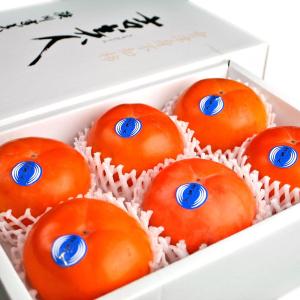 お歳暮 フルーツ ギフト 会津 みしらず柿 吉美人 きちびじん 4Lサイズ 6玉 詰め合わせ 高級身不知柿 福島県会津産 化粧箱入り 贈答 贈り物 柿 果物