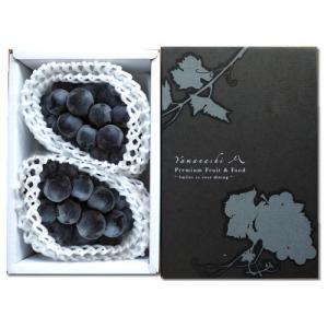 フルーツ 残暑見舞い ぶどう 葡萄 ピオーネ 山梨県産 約1kg 500g前後×2房入り ハウス栽培 送料無料 ギフト 贈り物 贈答用 フルーツ くだもの