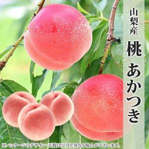 あかつき 詰合せ 山梨県産 大玉 3玉 化粧箱入り 送料無料｜aionline-japan