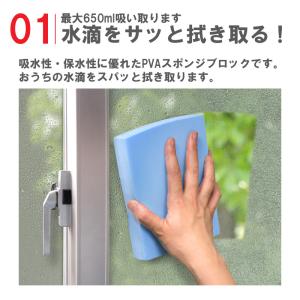 アイオン公式 超吸水スポンジ 650ml ワイ...の詳細画像2