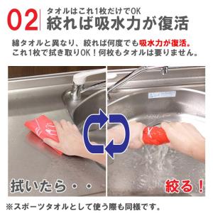 アイオン 超吸水タオル デザインシリーズ セー...の詳細画像2