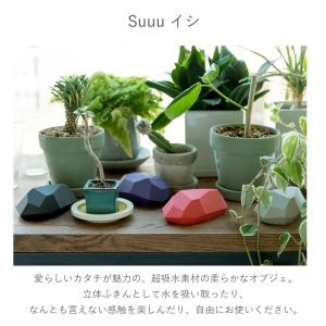 suuu イシ ishi 超吸水多孔質体オブジ...の詳細画像1