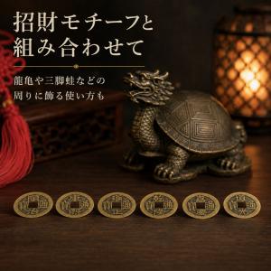 古銭 6枚セット 運気上昇 風水 開運祈願 風...の詳細画像4