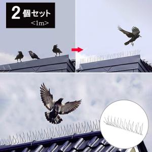 鳥よけ 針金 2個セット 害獣よけ スパイク 猫 ベランダ 玄関 ハト避け 糞害対策 侵入防止 予防 害獣 畑 バード 長さカット 可能 防鳥 カラス対策｜aioshop