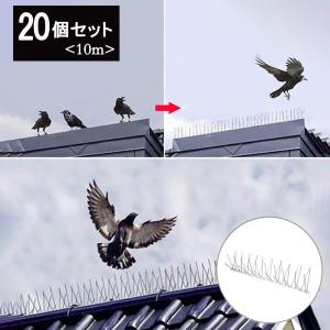 鳥よけ 針金 20個セット 害獣よけ スパイク 猫 ベランダ 玄関 ハト避け 糞害対策 侵入防止 予防 害獣 畑 バード 長さカット 可能 防鳥 カラス対策｜aioshop