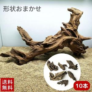 アクアテラリウム 水槽流木。水生植 物　水槽用流木　アクアリウム 盆栽流木 アクアリウム 流木 水槽 テラリウム 爬虫類 熱帯魚 ーVer2ー 形状お