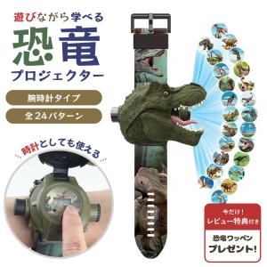レビュー特典付き 腕時計 ダイナソー 恐竜 24...の商品画像