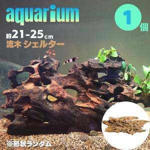 アクアリウム 流木 ーVer3ー 穴あき小魚シェルター 1個 形状お任せタイプ 21〜25cm 水槽撮影 テラリウム レイアウト用品 流れた木 水草 隠れ家 在庫限り｜aioshop